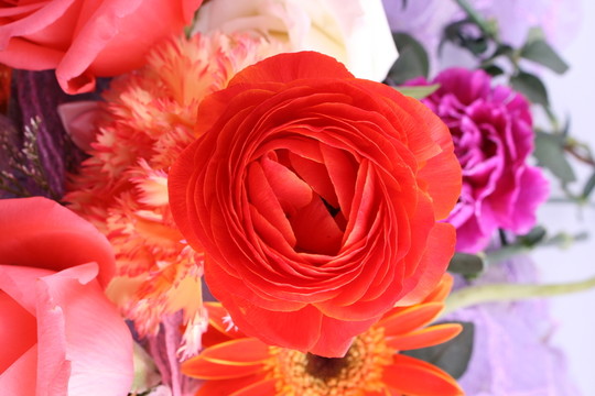 虞美人組花