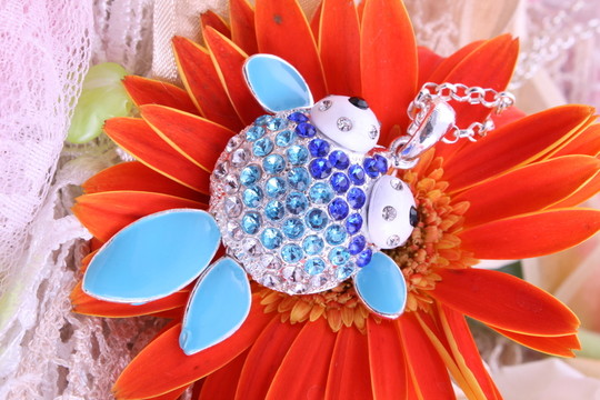 金魚 菊花