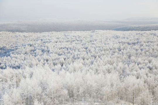 雪域霧凇