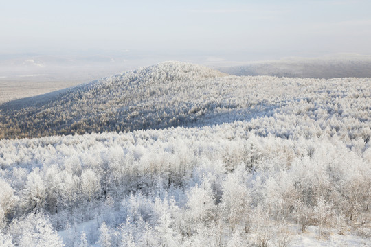 雪域霧凇