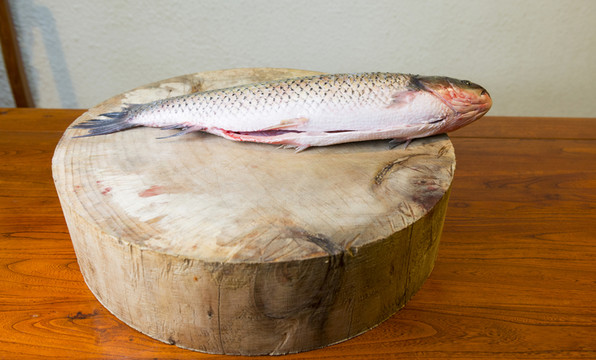 一條魚