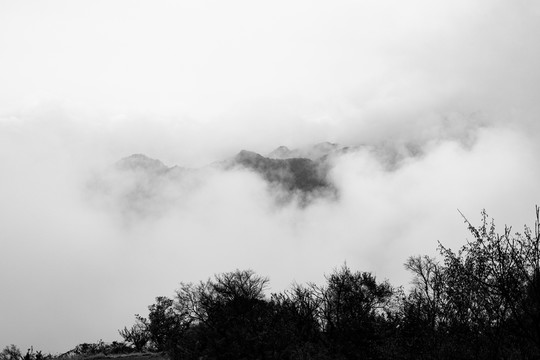 遠(yuǎn)山 云霧
