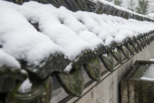 雪景