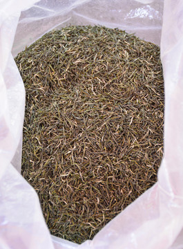 信陽毛尖 綠茶