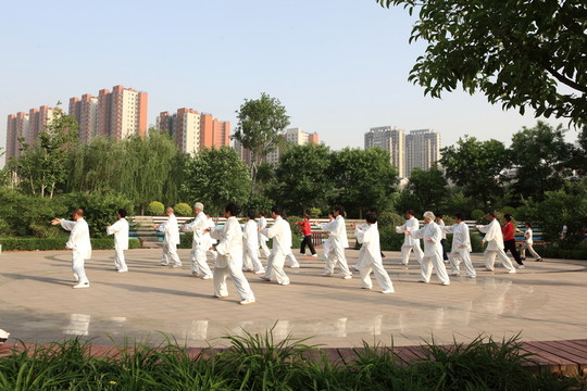 晨練 太極拳 老年人