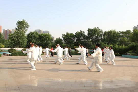 晨練 太極拳 老年人