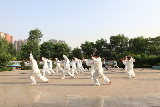 晨練 太極拳 老年人