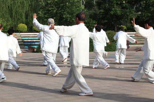 晨練 太極拳 老年人