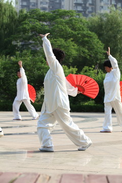 晨練 太極拳 老年人