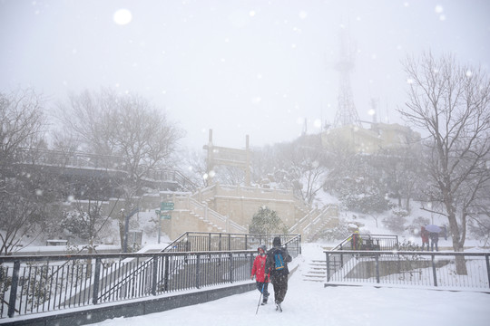 南京紫金山雪景