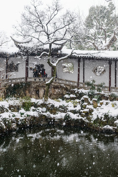 江南園林 滄浪雪景