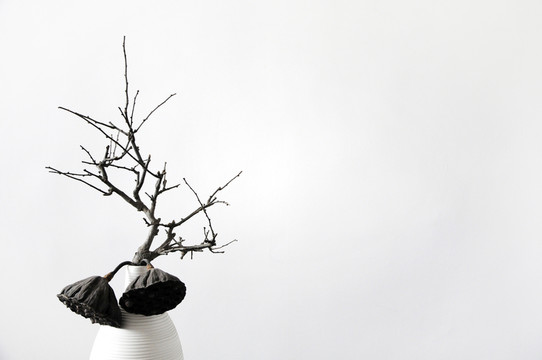 插花藝術(shù) 枯樹枝