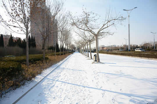 雪地