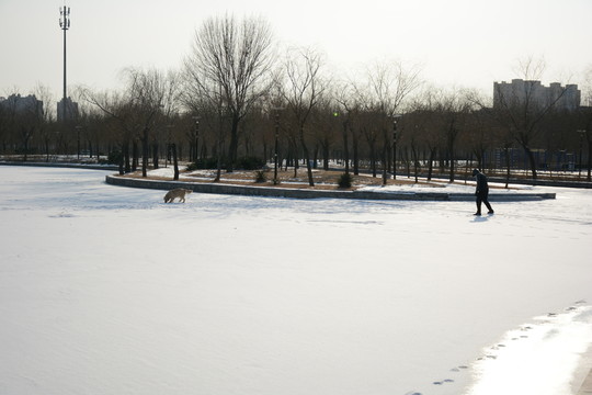 雪景