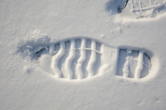雪地