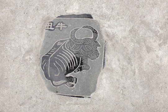 屬相