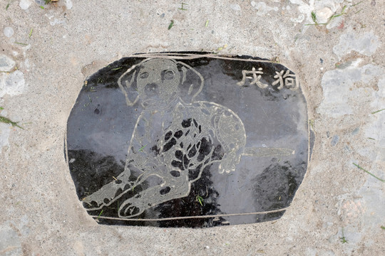 屬相