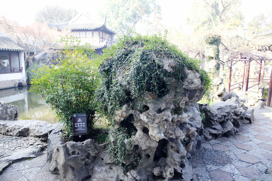 蘇州園林假山石