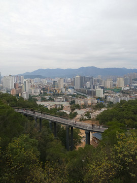 福州金雞山棧道