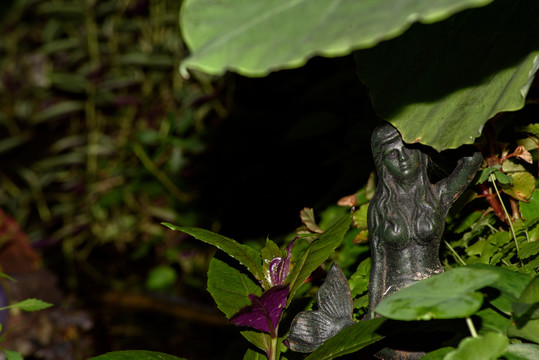 美人魚(yú)