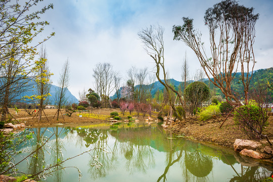 山水田園
