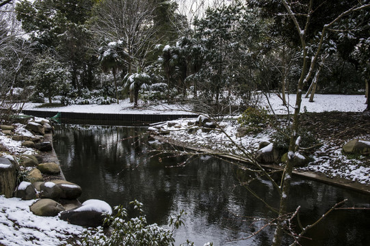 雪景