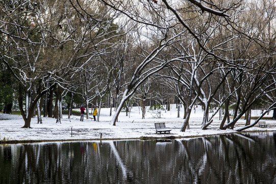 雪景