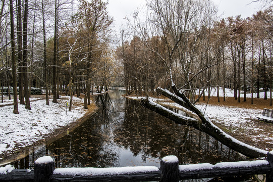 雪景