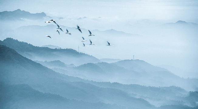 淡雅風(fēng)光