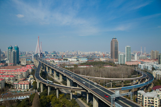 楊浦大橋