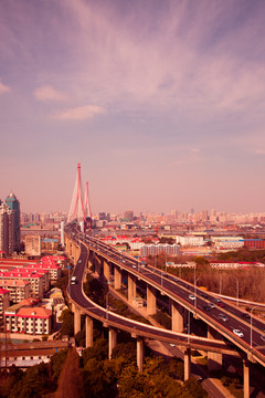 楊浦大橋
