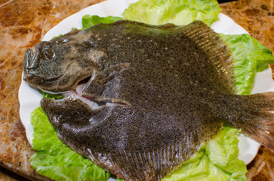 多寶魚