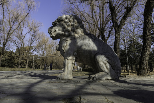 十三陵總神道石像生獅子