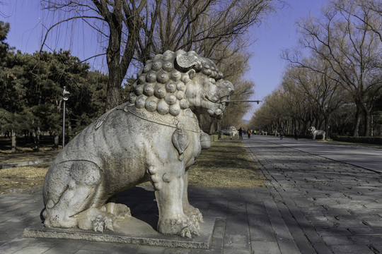 十三陵總神道石像生獅子