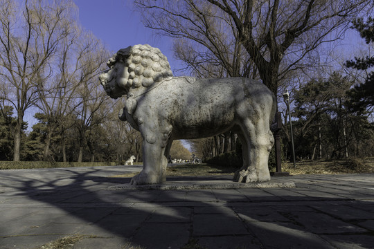 十三陵總神道石像生獅子