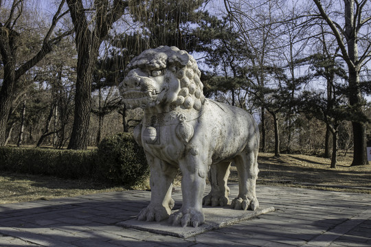 十三陵總神道石像生獅子