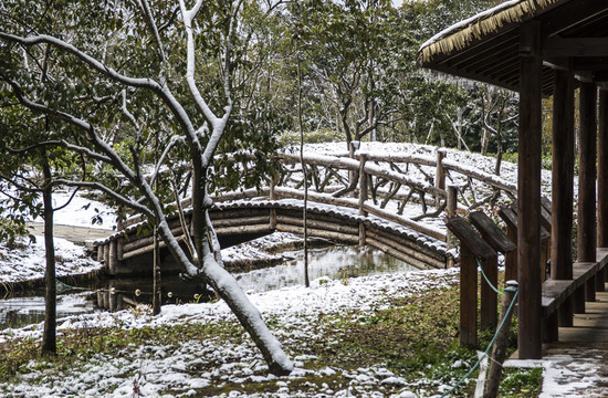 雪景