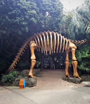 恐龍 恐龍遺骨 恐龍骨 動物