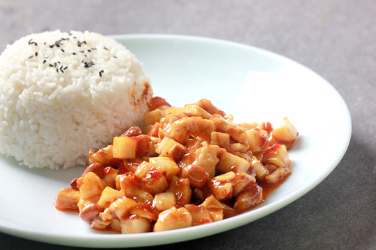 宮保雞丁飯