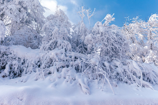 冰雪世界