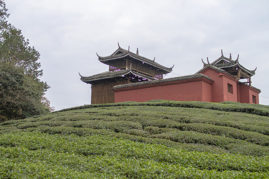 桐寨薩歲祠