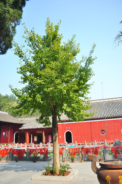 玉泉寺