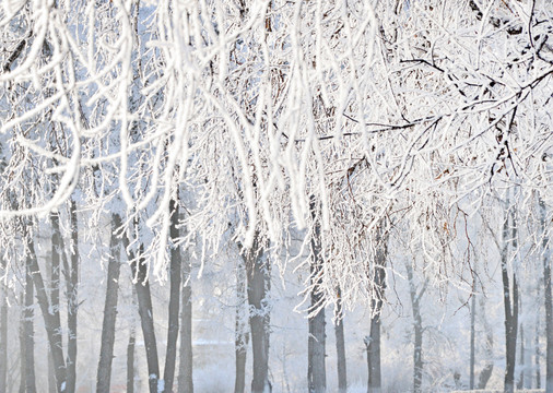 山林積雪 霧凇景色 冬季無框畫