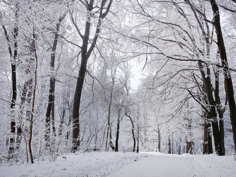 山林積雪 霧凇景色 冬季無框畫