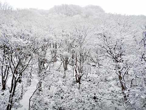 山林積雪 霧凇景色 冬季無框畫