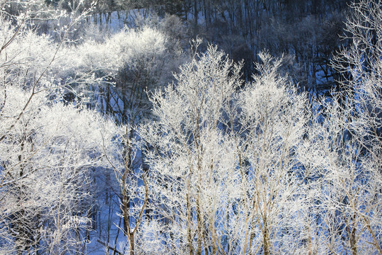 山林積雪 霧凇景色 冬季無框畫