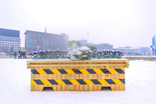 下雪后的濟南泉城廣場 （31）