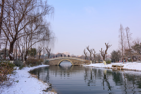 雪后濟南大明湖 （14）