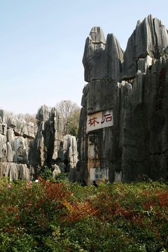 云南石林