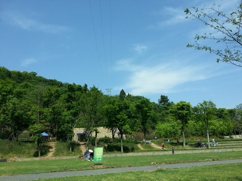 初夏